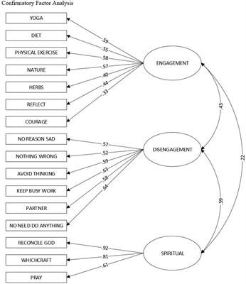 What Do Immigrants From Various Cultures Think Is the Best Way to Cope With Depression? Introducing the Cross-Cultural Coping Inventory